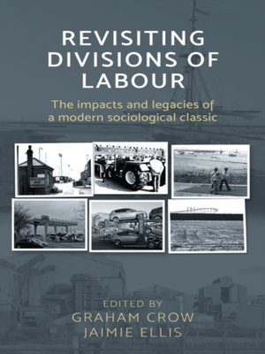cover image of Revisiting  Divisions of Labour